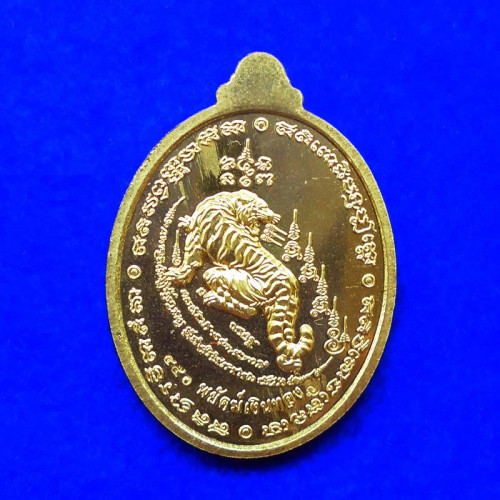 เหรียญทรัพย์พยัคฆ์ หลวงพ่อพัฒน์ วัดห้วยด้วน เนื้อทองทิพย์ลงยาแดง ขอบเขียว ปี 2564 เลข 450 2