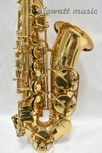 Grafton GAS-260 Standard Gold Lacquer Alto Saxophone 2