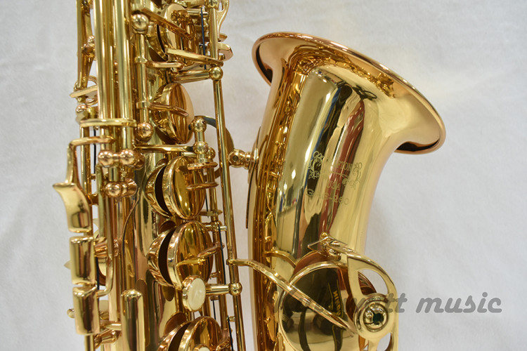 Grafton GAS-260 Standard Gold Lacquer Alto Saxophone 3
