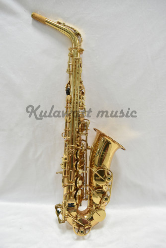 Grafton GAS-260 Standard Gold Lacquer Alto Saxophone