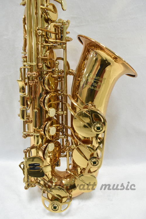 Grafton GAS-380 Standard Double Fixed Keys Alto Saxophone 3