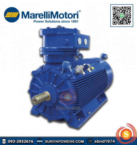 มอเตอร์กันระเบิด MarelliMotori Explosion-Proof 0.75 HP รุ่น D5C71B2