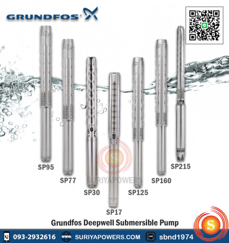 Grundfos ปั๊มน้ำบาดาล สแตนเลส รุ่น SP17 - 20 Rp2.5