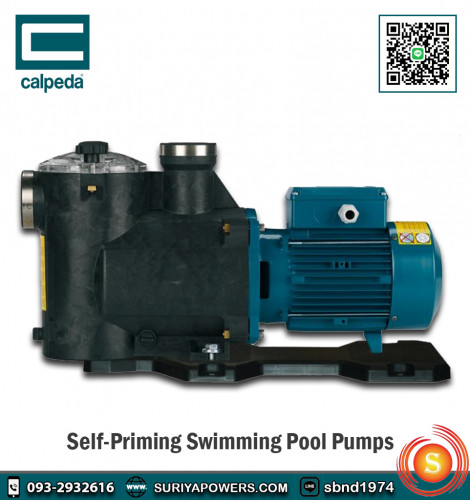 ปั๊มสระว่ายน้ำ Calpeda MPCM11 (0.5HP) 220V 1