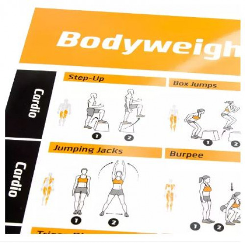 NewMe Fitness : NMFBDWVOL2* แผ่นโปสเตอร์ NewMe Fitness Bodyweight Workout Vol.2 Exercise Poster