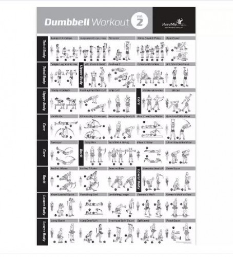 NewMe Fitness : NMFDBLVOL2* แผ่นโปสเตอร์ NewMe Fitness Dumbbell Workout Vol.2 Exercise Poster
