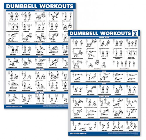 QuickFit : QKFDBL2P* โปสเตอร์ QuickFit Dumbbell Workout Exercise Posters Set